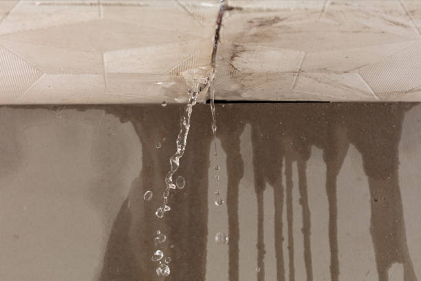 Professional Flood Damage Cleanup technician working in Dale, IN